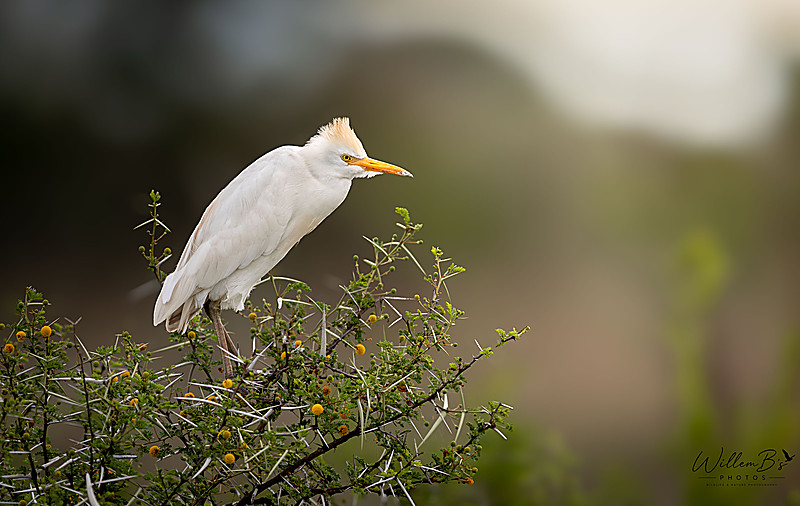 Y3A5460
