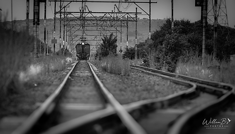 Y3A7924